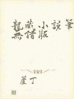 龙藏小说笔趣阁无错版