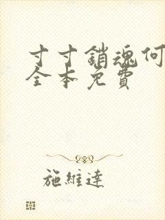 寸寸销魂何生祥全本免费