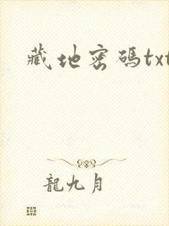 藏地密码txt封面