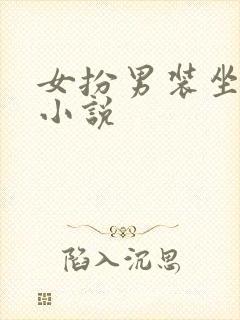 女扮男装坐江山小说封面