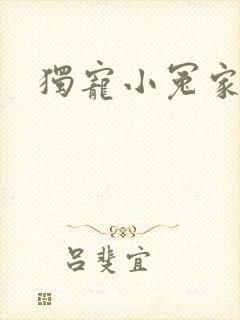 独宠小冤家封面