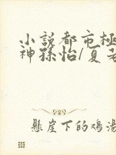 小说都市极品医神孙怡/夏若雪完结版