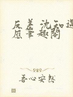 反差 沈知遇晏应笔趣阁封面