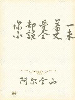 你却爱着一个他小说全文未删减免费封面