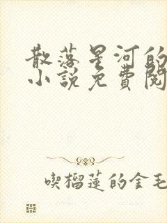 散落星河的记忆小说免费阅读全文