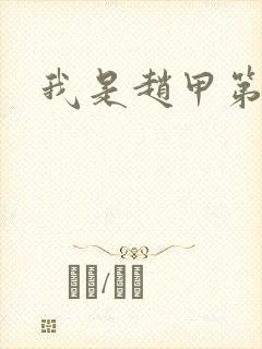 我是赵甲第小说