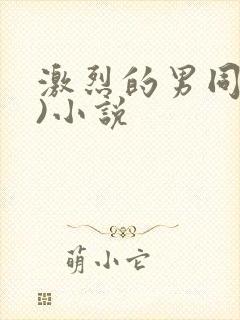 激烈的男同(h)小说