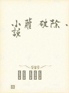 小萝 破除 小说封面