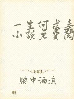 一生何求秦菲雪小说免费阅读封面