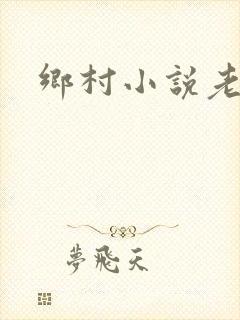 乡村小说老卫