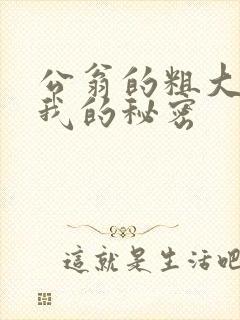 公翁的粗大放进我的秘密封面