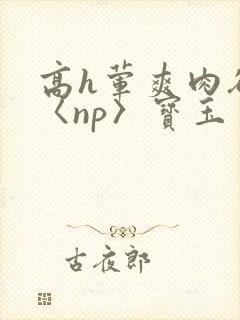 高h荤爽肉欲文〈np〉宝玉