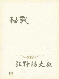 秘战