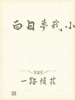 白日梦我小说