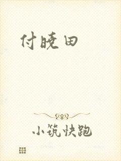 付晓田封面