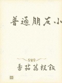 普通朋友小说封面