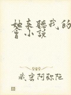 她来听我的演唱会小说