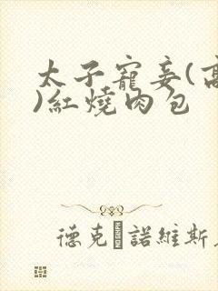 太子宠妾(高肉)红烧肉包