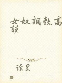 女奴调教高h小说