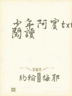 少年阿宾txt阅读封面