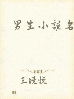 男生小说名字封面