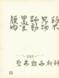 腹黑师兄的日常肉食动物不食草