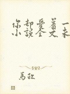 你却爱着一个他小说全文未删减免费