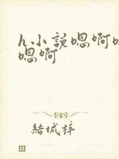 h小说嗯啊嗯啊嗯啊