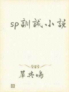 sp训诫小说