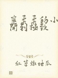 宁柔柔的小泬撑开到极致