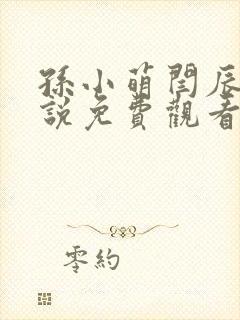 孙小萌闫辰的小说免费观看封面