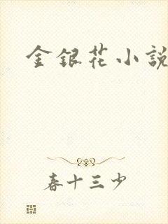 金银花小说乐可