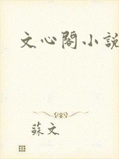文心阁小说