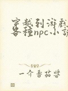 穿越到游戏里和各种npc小说