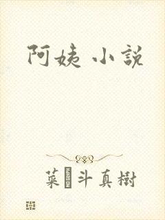 阿姨 小说