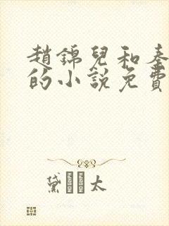 赵锦儿和秦慕修的小说免费阅读全文封面