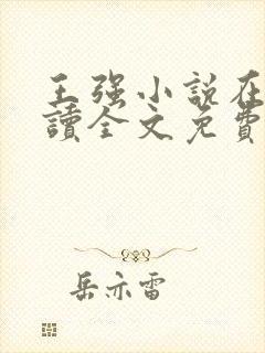 王强小说在线阅读全文免费