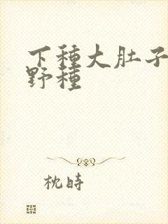 下种大肚子怀孕野种