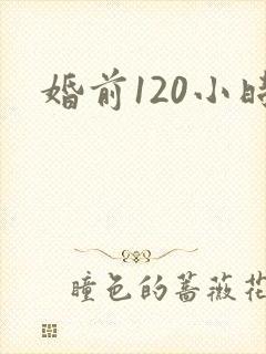 婚前120小时封面