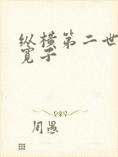 纵横第二世界 宽子封面