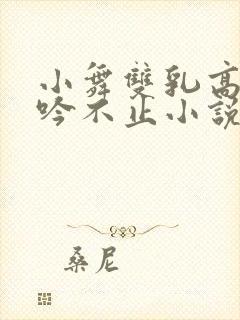 小舞双乳高耸呻吟不止小说封面