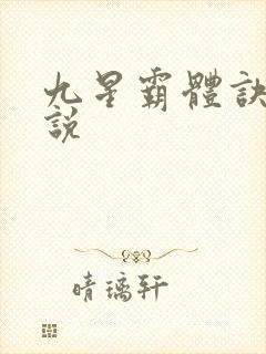 九星霸体诀 小说