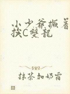 小少爷撅着屁股挨C双龙封面