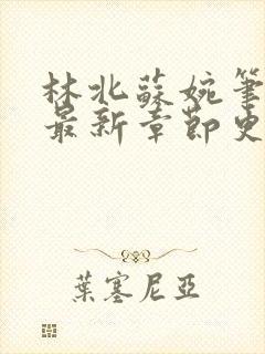 林北苏婉笔趣阁最新章节更新内容封面