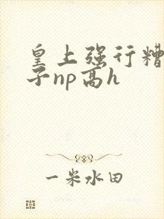 皇上强行糟蹋太子np高h