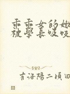 乖乖女的嫩奶头被学长吸咬了小说封面