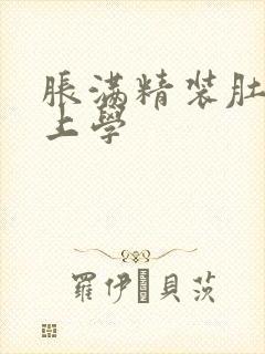 胀满精装肚子去上学封面