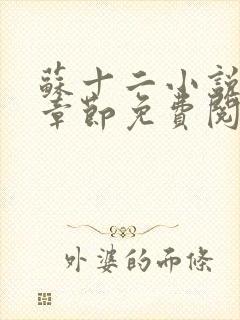 苏十二小说最新章节免费阅读全文