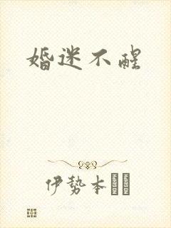 婚迷不醒封面