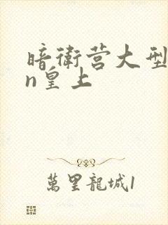 暗卫营大型hpn皇上封面